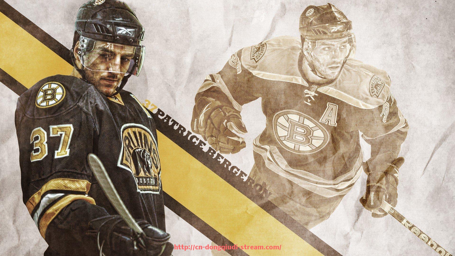 懂球帝直播-火箭队2008至2009赛季的整体表现回顾