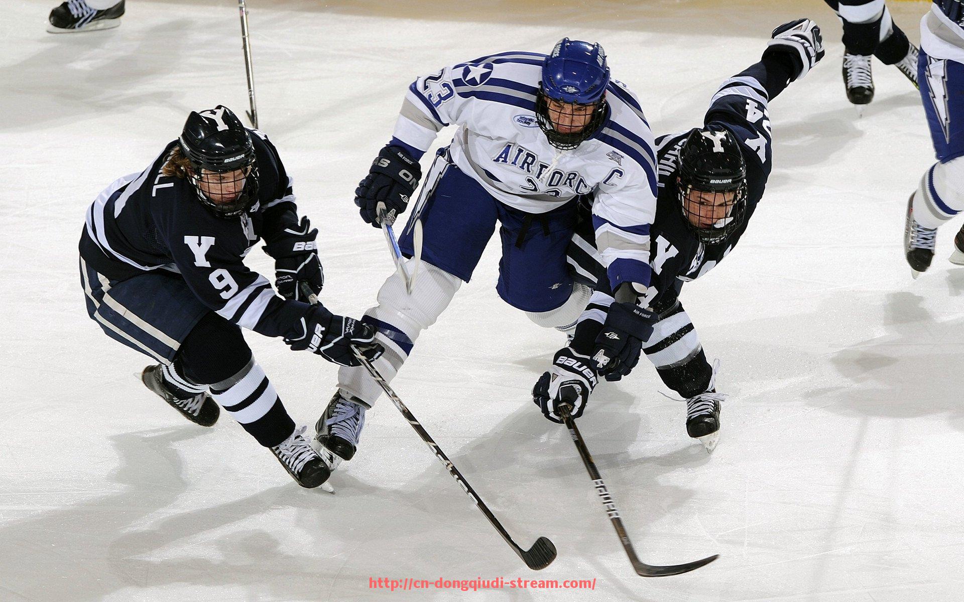 懂球帝直播-火箭队与掘金队比赛录像全记录与技术统计分析
